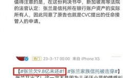 张兰被爆料欠巨额债务视频,真相与影响揭秘